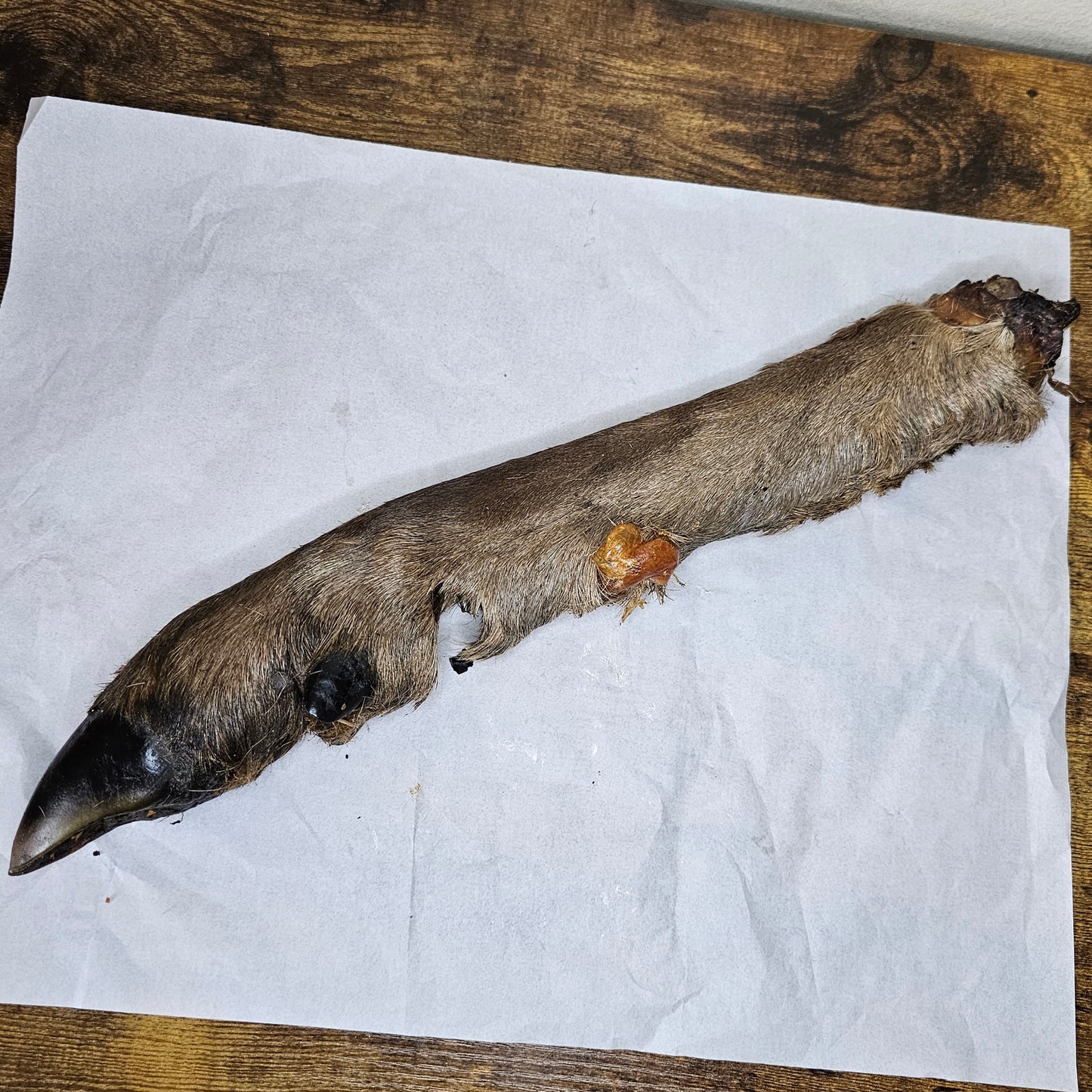 Venison leg