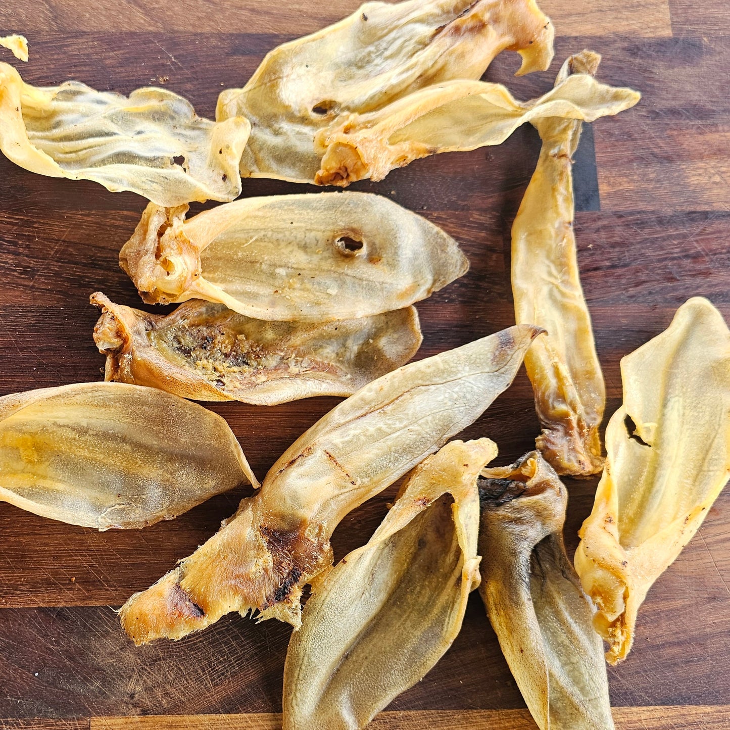 Lamb Ears - Plain