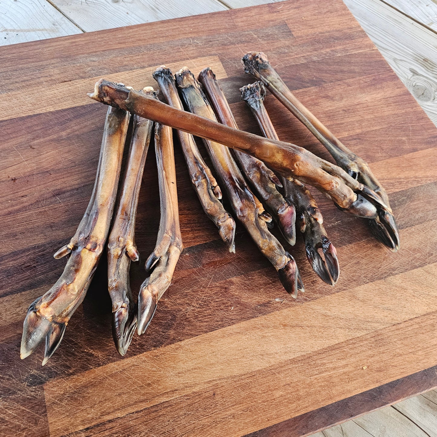 Roe Deer Legs - Small