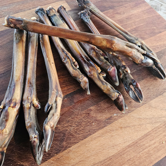 Roe Deer Legs - Small