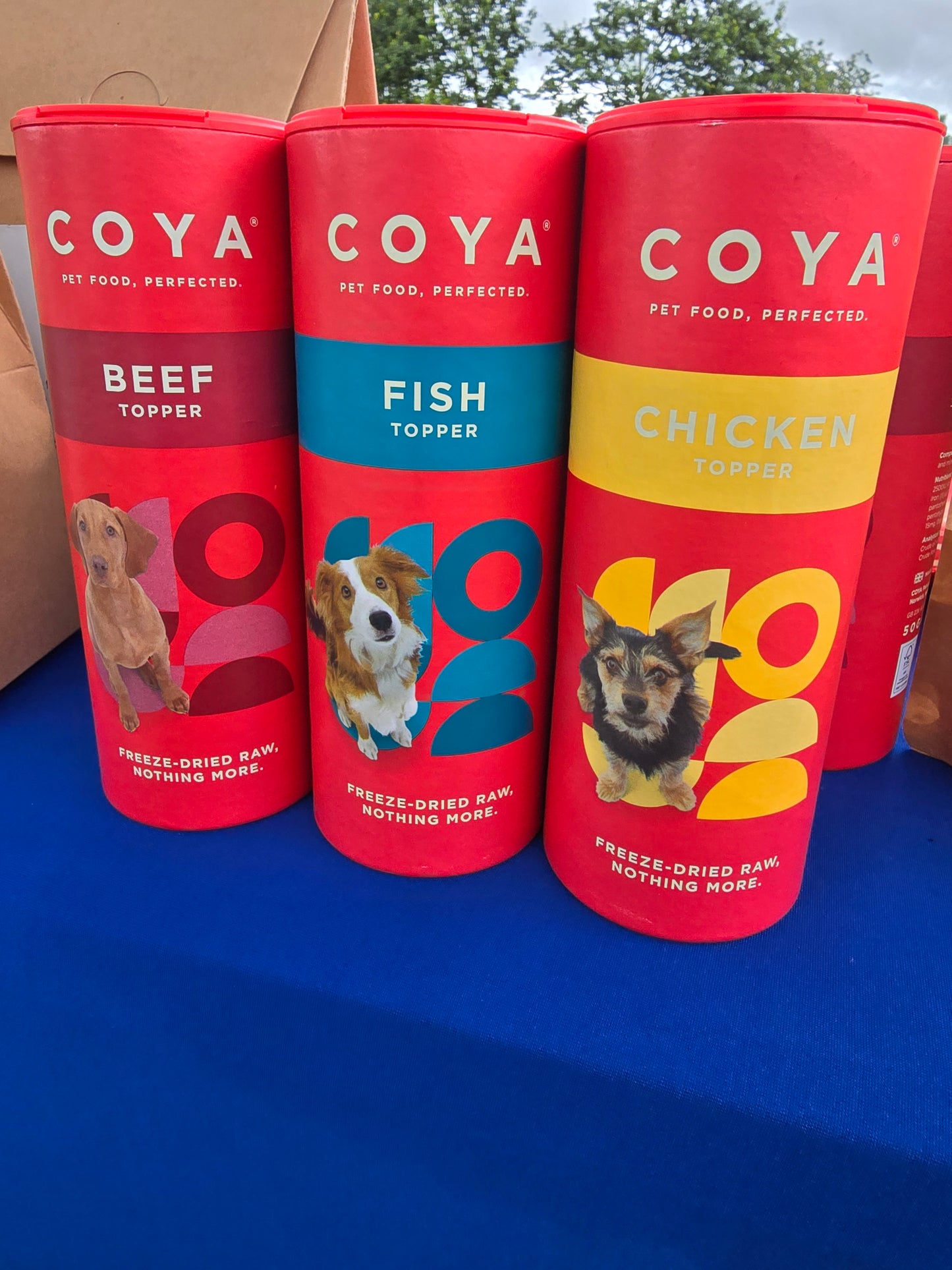 Coya Freeze-Dried Raw Food Topper - Beef Flavour