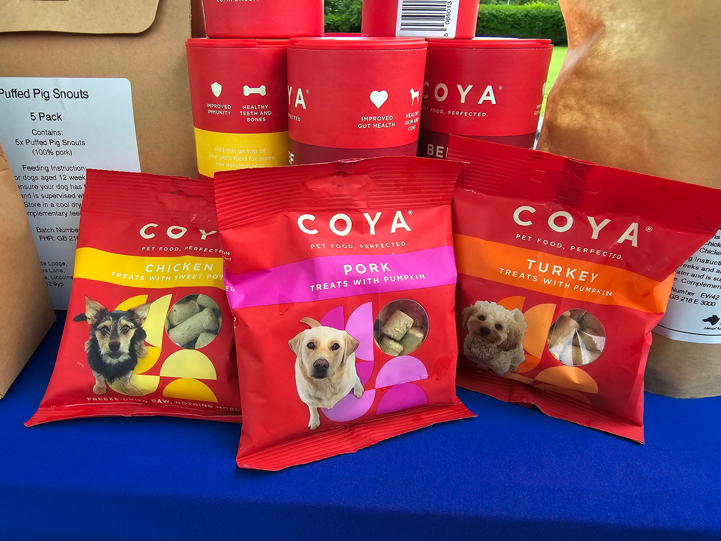 Coya Freeze-Dried Raw Treats - Beef Flavour