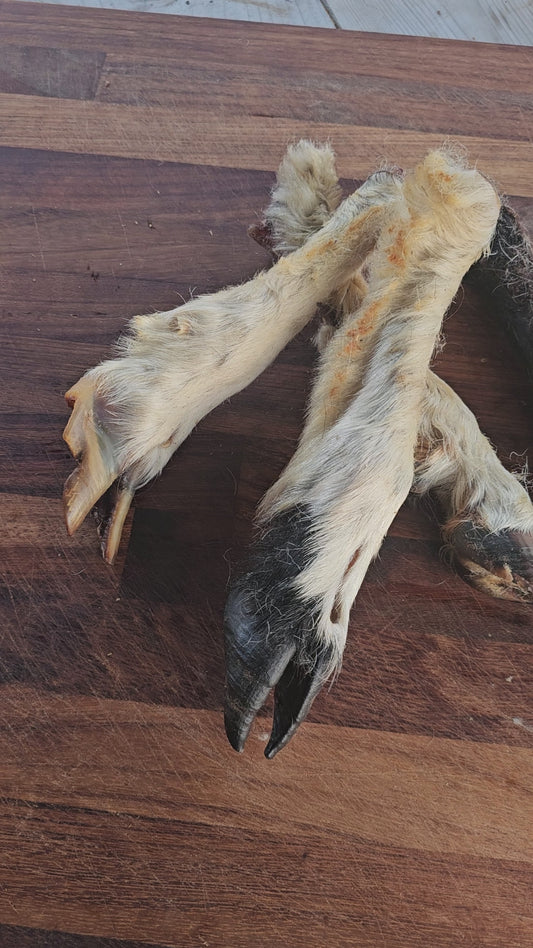 Hairy Lamb Legs