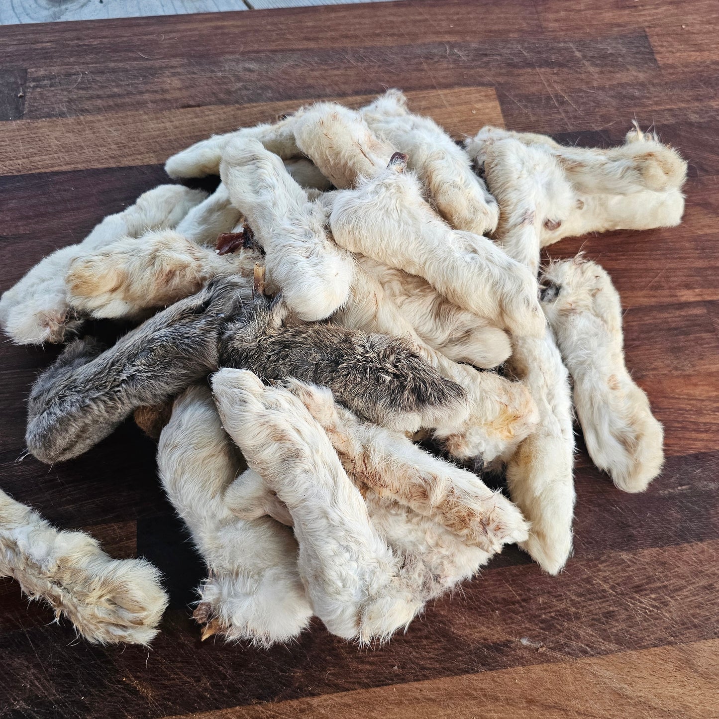 Rabbit Feet