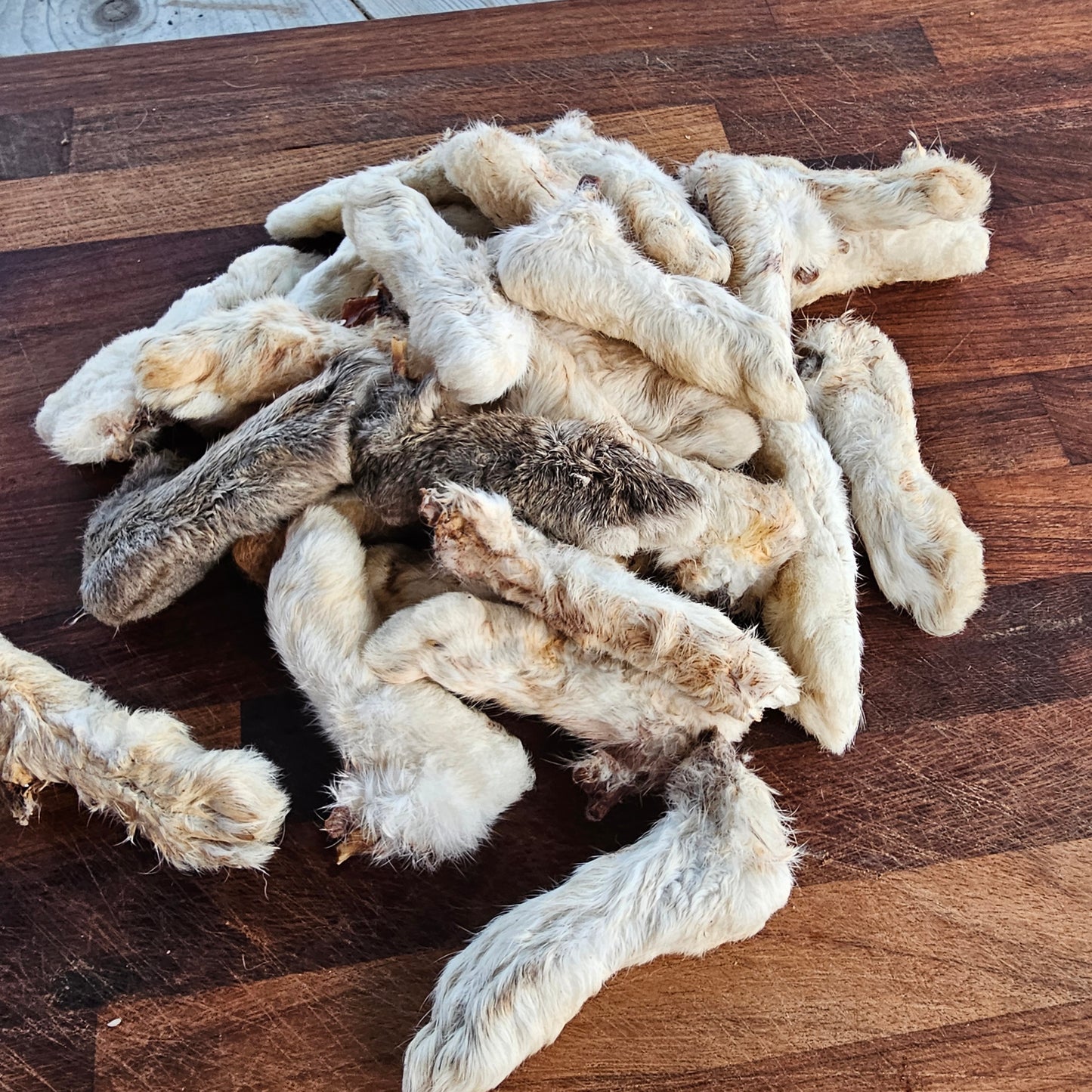 Rabbit Feet